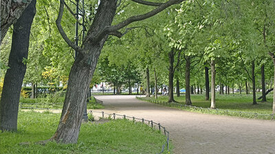 Первое народное гуляние в Александровском парке